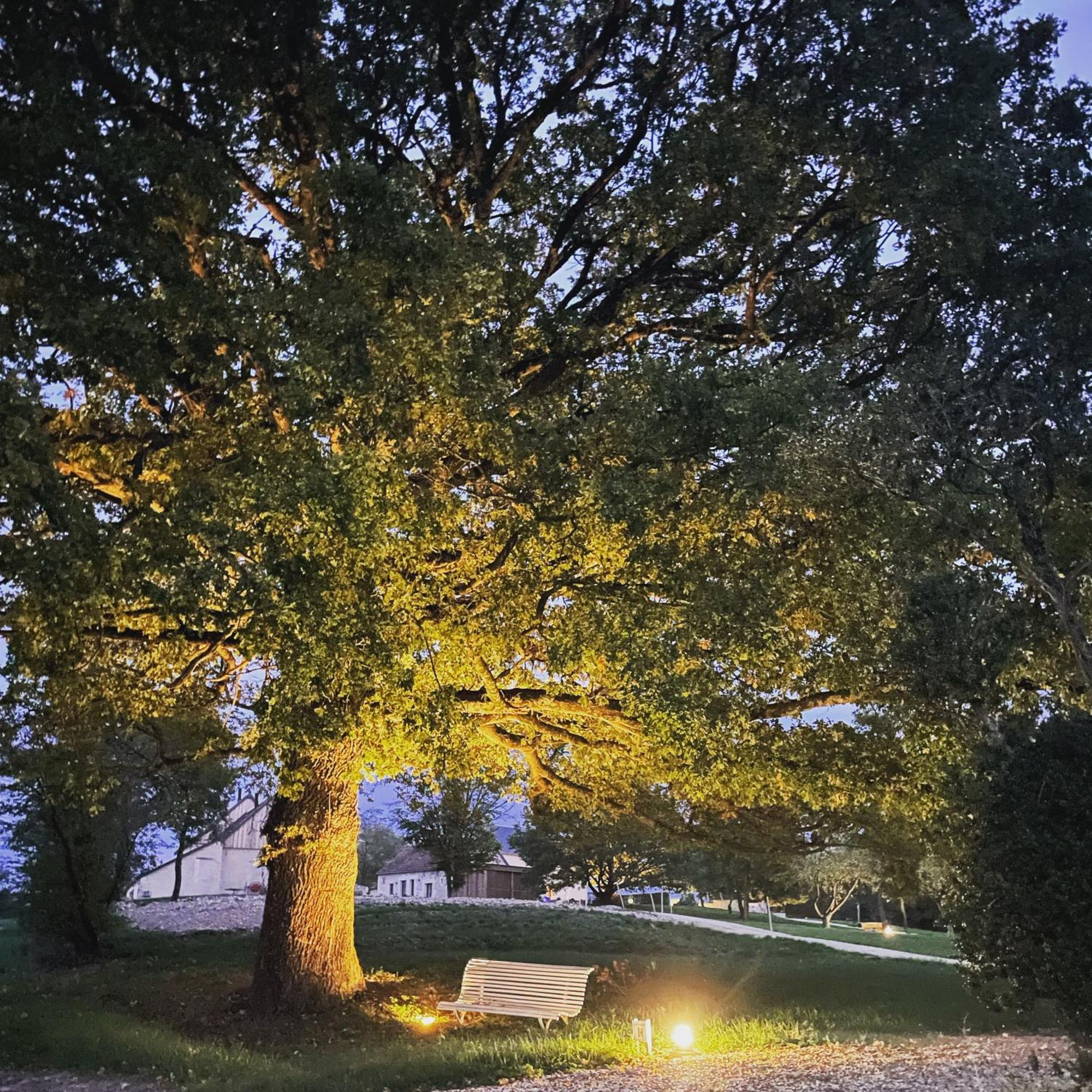 Le Hameau De La Closerie Flere-la-Riviere Exteriér fotografie