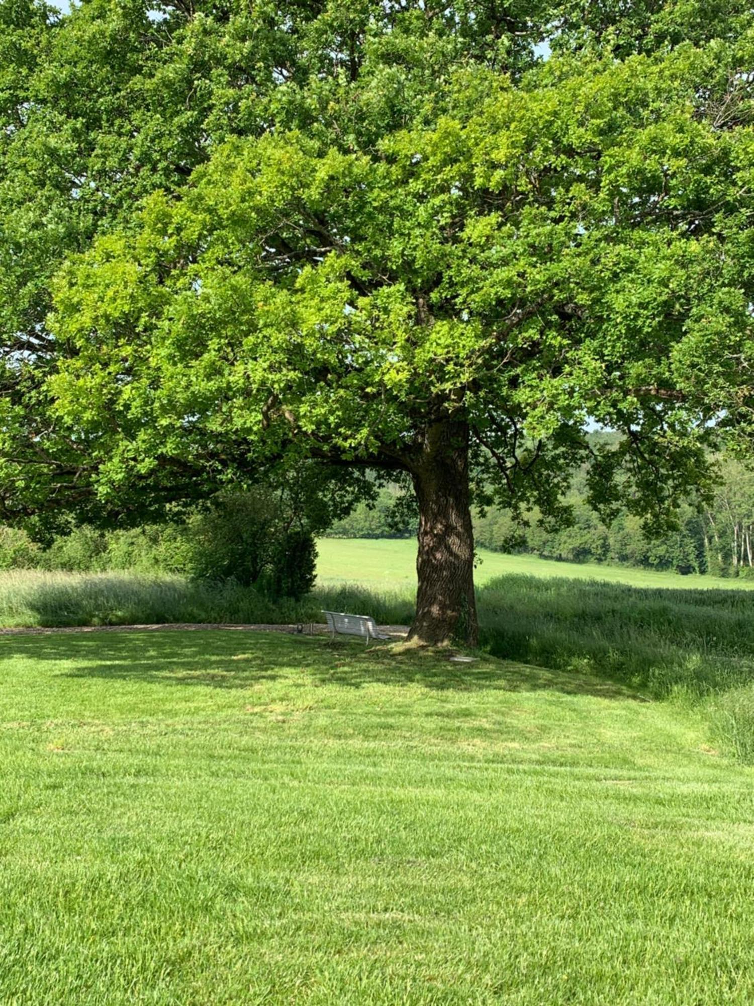 Le Hameau De La Closerie Flere-la-Riviere Pokoj fotografie